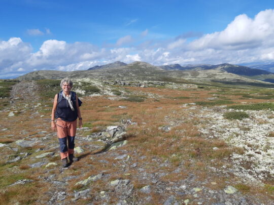 wandelaarster in berglandschap Rondane in Noorwegen.