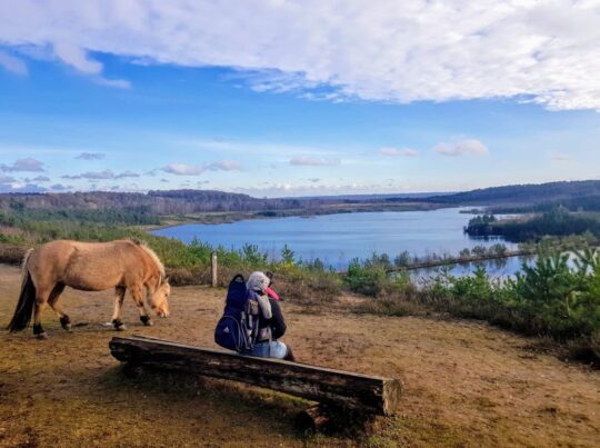 persoon op bankje met uitzicht op meer en paard