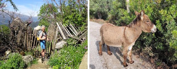 individuele-wandelreis-albanie-earth-tracks-stripje4