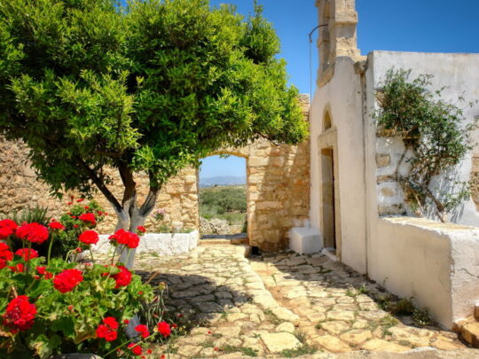 oud gebouw bloemen in de tuin en poort met uitzicht in griekenland