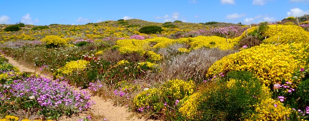 rota_vicentina_wandelreis_Portugal