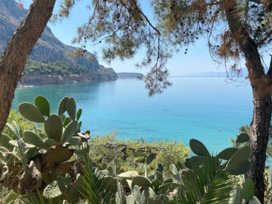 baai met turkoois kleurige zee omringd door bomen, cactussen en bergen in griekenland
